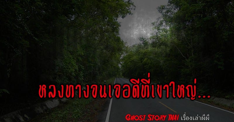  หลงทางจนเจอดีที่เขาใหญ่…